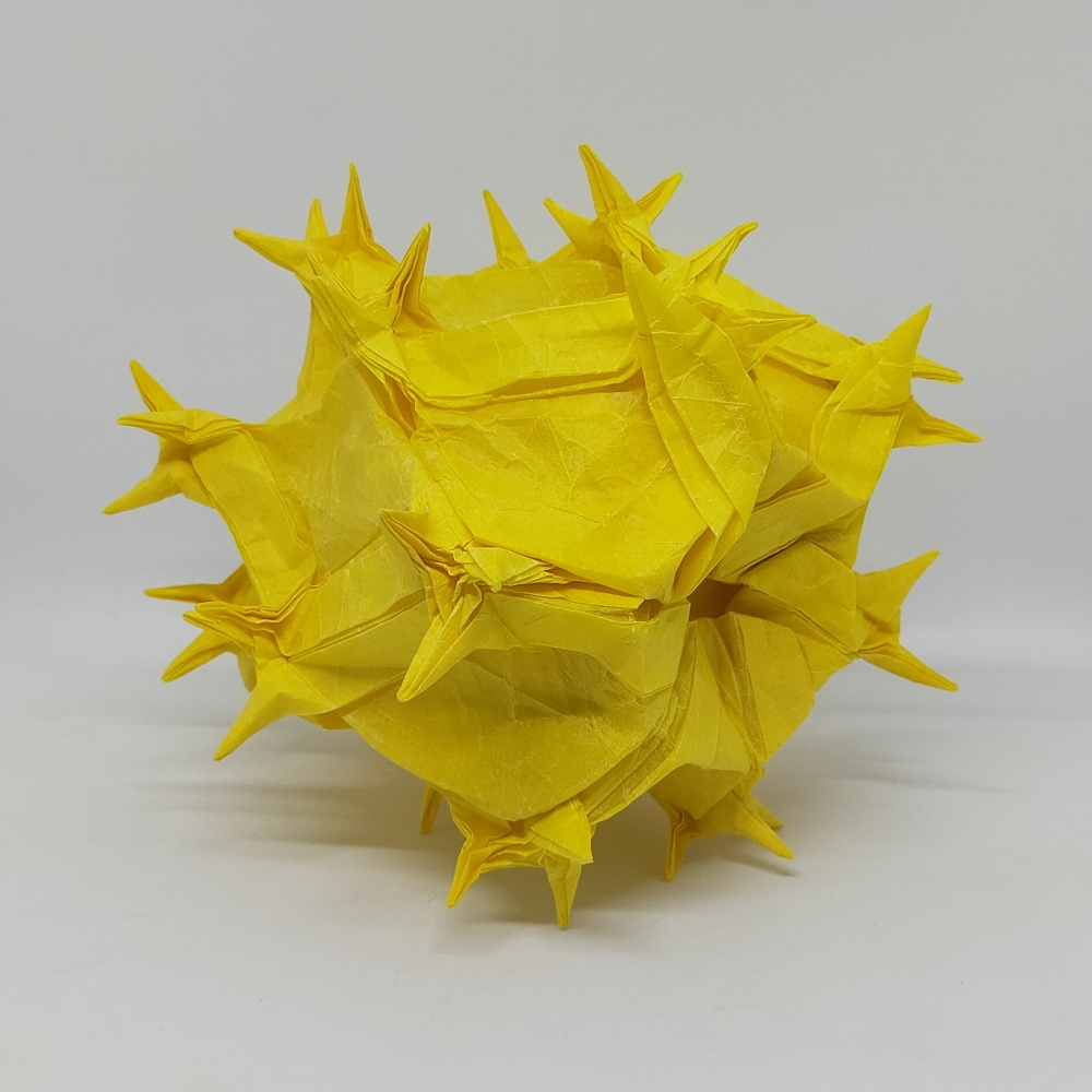 Palora Dragon Fruit (with thorns)